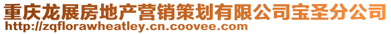 重慶龍展房地產營銷策劃有限公司寶圣分公司
