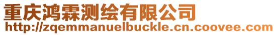 重慶鴻霖測繪有限公司