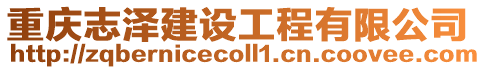 重慶志澤建設工程有限公司