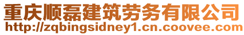 重慶順磊建筑勞務有限公司
