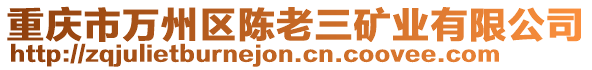 重慶市萬州區陳老三礦業有限公司