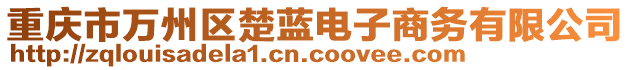 重慶市萬州區(qū)楚藍(lán)電子商務(wù)有限公司