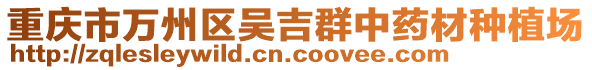 重慶市萬州區(qū)吳吉群中藥材種植場