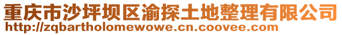 重慶市沙坪壩區(qū)渝探土地整理有限公司