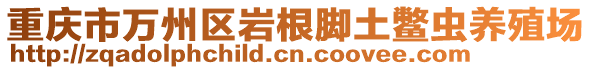 重慶市萬州區(qū)巖根腳土鱉蟲養(yǎng)殖場