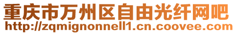 重慶市萬州區自由光纖網吧