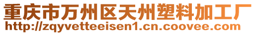 重慶市萬州區(qū)天州塑料加工廠