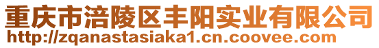 重慶市涪陵區(qū)豐陽(yáng)實(shí)業(yè)有限公司