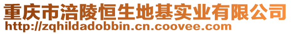 重慶市涪陵恒生地基實(shí)業(yè)有限公司