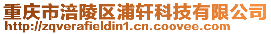 重庆市涪陵区浦轩科技有限公司