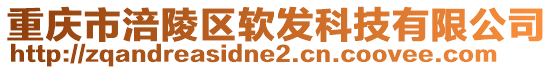 重慶市涪陵區(qū)軟發(fā)科技有限公司