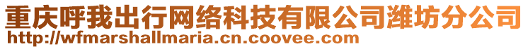 重慶呼我出行網(wǎng)絡(luò)科技有限公司濰坊分公司