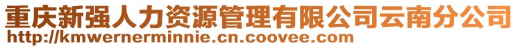 重慶新強(qiáng)人力資源管理有限公司云南分公司