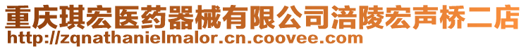 重慶琪宏醫藥器械有限公司涪陵宏聲橋二店