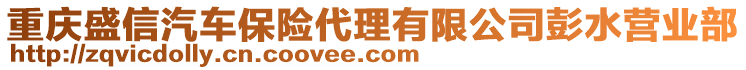 重慶盛信汽車保險代理有限公司彭水營業(yè)部