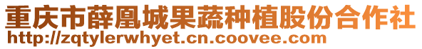 重慶市薛凰城果蔬種植股份合作社