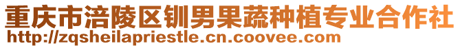 重慶市涪陵區(qū)釧男果蔬種植專業(yè)合作社