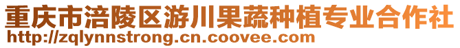 重慶市涪陵區游川果蔬種植專業合作社