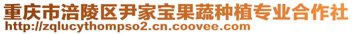 重慶市涪陵區(qū)尹家寶果蔬種植專業(yè)合作社