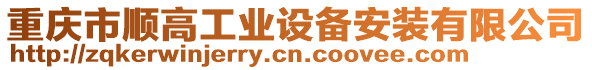 重慶市順高工業(yè)設(shè)備安裝有限公司