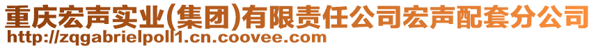 重慶宏聲實業(集團)有限責任公司宏聲配套分公司