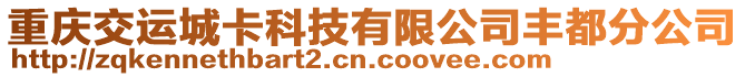 重慶交運(yùn)城卡科技有限公司豐都分公司