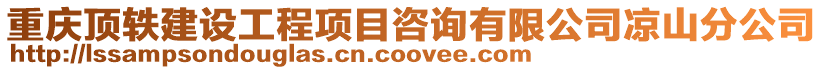 重慶頂軼建設工程項目咨詢有限公司涼山分公司