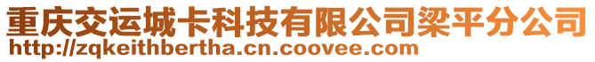 重慶交運城卡科技有限公司梁平分公司