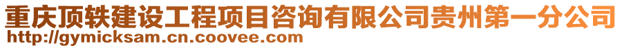 重慶頂軼建設工程項目咨詢有限公司貴州第一分公司