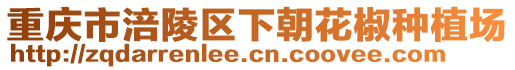 重慶市涪陵區下朝花椒種植場
