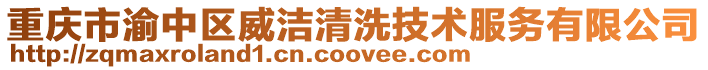 重慶市渝中區威潔清洗技術服務有限公司