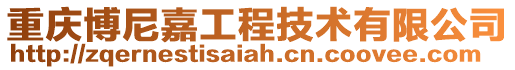 重慶博尼嘉工程技術(shù)有限公司