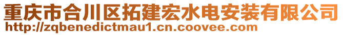 重慶市合川區拓建宏水電安裝有限公司