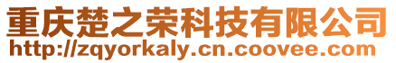 重慶楚之榮科技有限公司