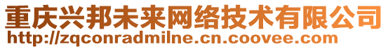 重慶興邦未來網絡技術有限公司