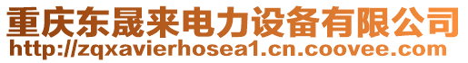 重慶東晟來電力設備有限公司