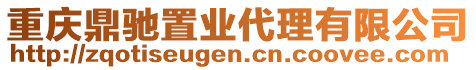 重慶鼎馳置業(yè)代理有限公司