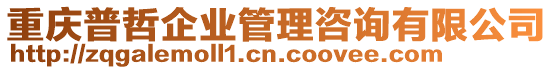 重慶普哲企業(yè)管理咨詢有限公司