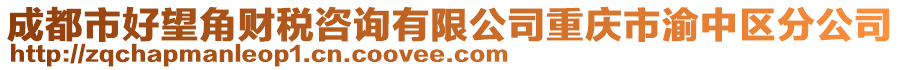 成都市好望角財稅咨詢有限公司重慶市渝中區分公司