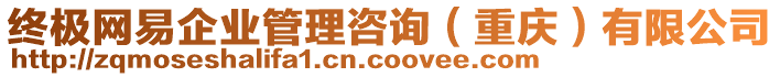 終極網(wǎng)易企業(yè)管理咨詢(重慶)有限公司