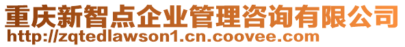 重慶新智點企業管理咨詢有限公司
