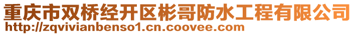 重慶市雙橋經(jīng)開區(qū)彬哥防水工程有限公司