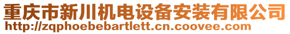 重慶市新川機電設備安裝有限公司