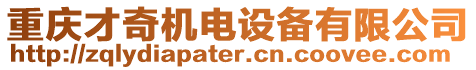 重慶才奇機(jī)電設(shè)備有限公司