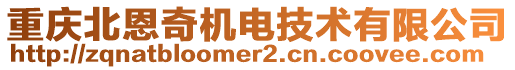 重慶北恩奇機電技術有限公司