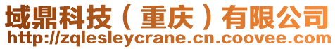 域鼎科技(重慶)有限公司