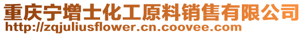重慶寧增士化工原料銷售有限公司