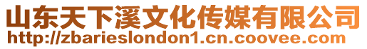 山東天下溪文化傳媒有限公司