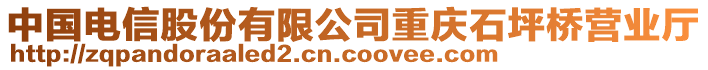 中國電信股份有限公司重慶石坪橋營業(yè)廳