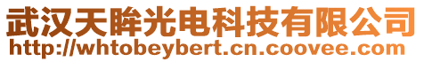 武漢天眸光電科技有限公司